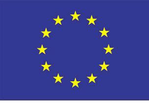 img_eu-flag